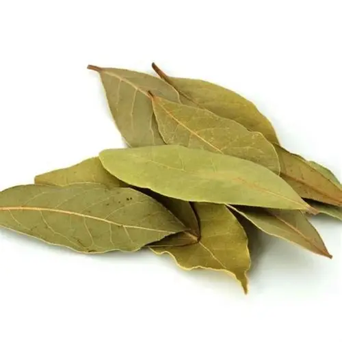1 Bay Leaf 20g - Image 1