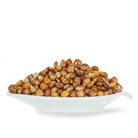 20 Roasted Makki - 500g - Image 1