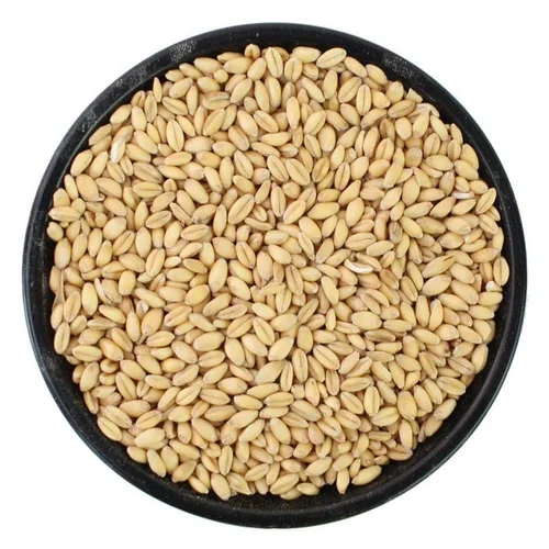 3 Wheat Whole - 500g - Image 1