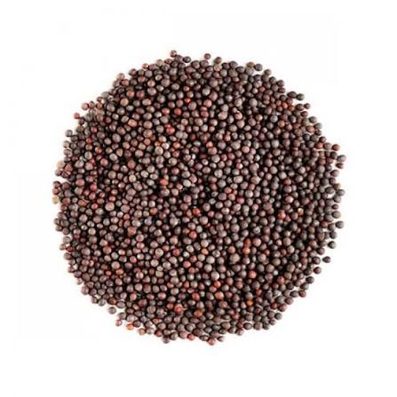 images (27) Rai (Mustard Seed) 100g - Image 1